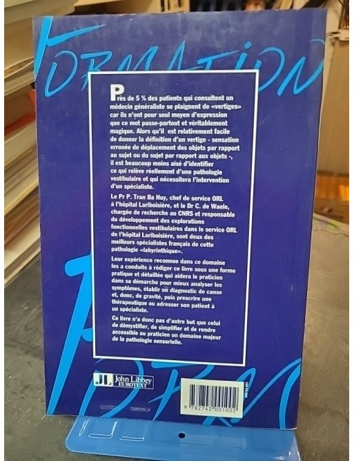 Les Vertiges et le Praticien : Guide pratique par Patrice Tran Ba Huy et Catherine de Waele