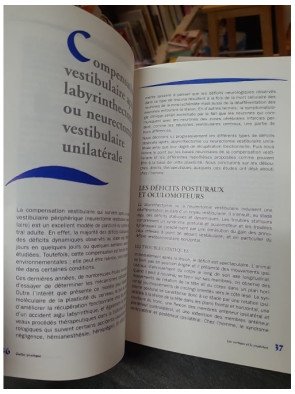 Les Vertiges et le Praticien : Guide pratique par Patrice Tran Ba Huy et Catherine de Waele