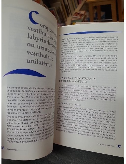 Les Vertiges et le Praticien : Guide pratique par Patrice Tran Ba Huy et Catherine de Waele