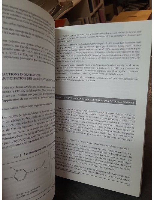 Les oxydations et les réductions dans les moûts et les vins par Nicolas Vivas