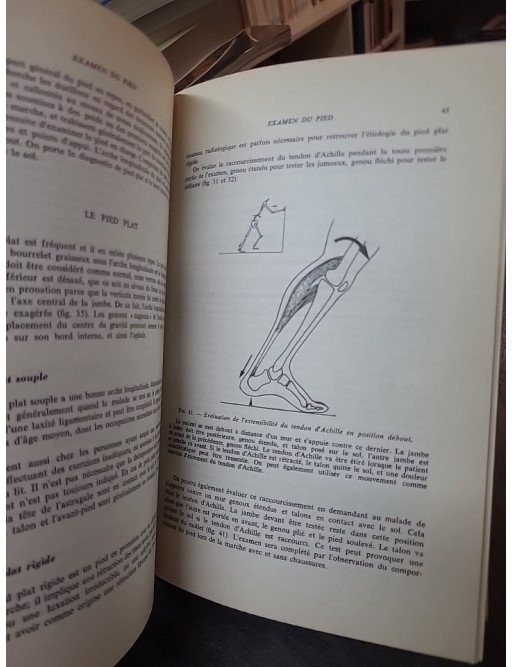 Le pied : Traitement des douleurs et rééducation fonctionnelle par René Cailliet