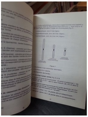 L'essentiel en génétique par Claude Humeau : Manuel de base pour les étudiants