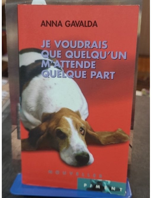 Je voudrais que quelqu'un m'attende quelque part d'Anna Gavalda - Recueil de nouvelles