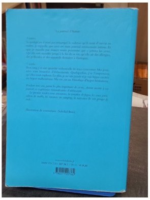 Le journal d'Aurore de Marie Desplechin - Roman jeunesse
