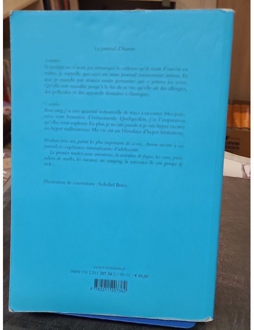 Le journal d'Aurore de Marie Desplechin - Roman jeunesse