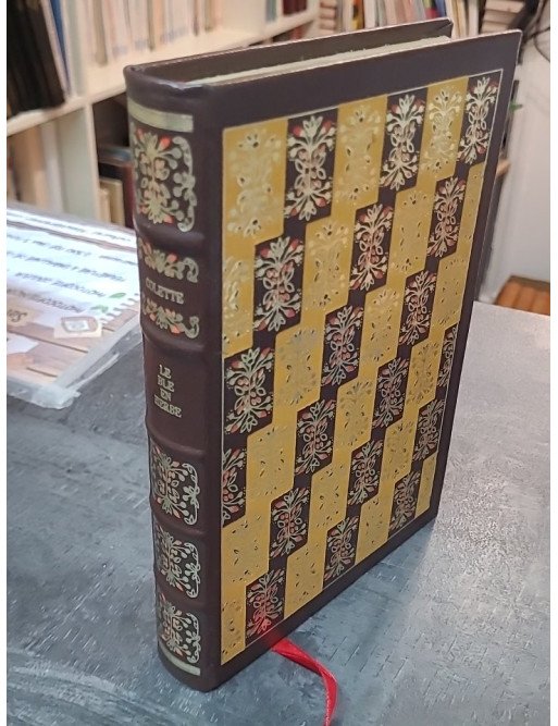 Le blé en herbe de Colette - Roman classique sur l'adolescence