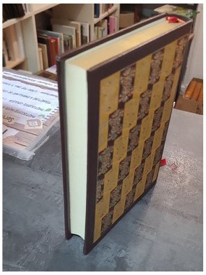 Le blé en herbe de Colette - Roman classique sur l'adolescence