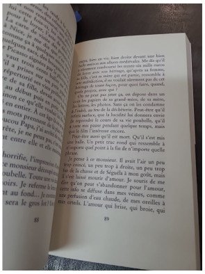 La prochaine fois que tu mordras la poussière - Panayotis Pascot