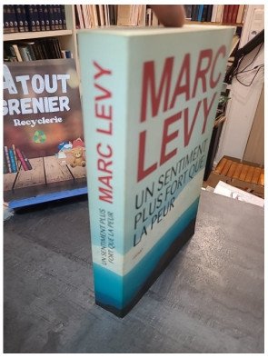 Un sentiment plus fort que la peur - Marc Levy