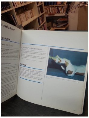 Pathologie abarticulaire diprostene - Francisque Commandre