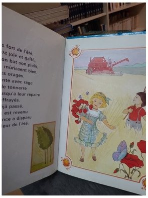 J'apprends les mois et les saisons - Marie-Vincente