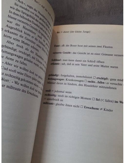 Deutsche Kurzgeschichten : un recueil de nouvelles allemandes par Margit Schön