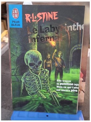 Le Labyrinthe infernal : L'aventure cauchemardesque de R.L. Stine, le maître de l'horreur jeunesse