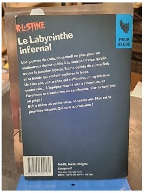 Le Labyrinthe infernal : L'aventure cauchemardesque de R.L. Stine, le maître de l'horreur jeunesse
