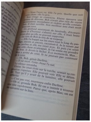 Le Labyrinthe infernal : L'aventure cauchemardesque de R.L. Stine, le maître de l'horreur jeunesse