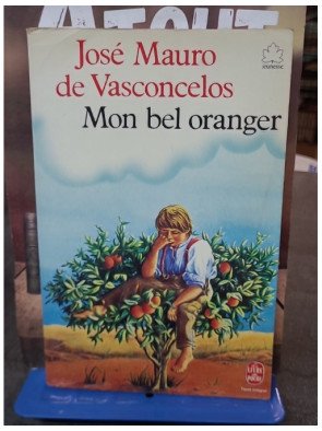 Mon bel oranger : le roman de José Mauro de Vasconcelos