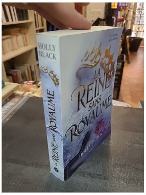 La Reine sans royaume - Le Peuple De l'Air Tome 3 - Le roman de fantasy par Holly Black
