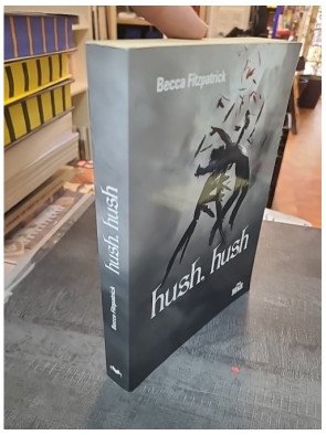 Hush, Hush de Becca Fitzpatrick - Le début de la saga paranormale Les Anges Déchus