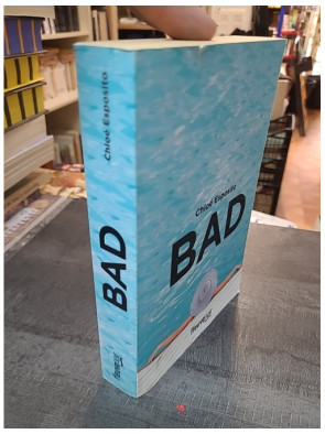 Bad de Chloé Esposito - Un thriller sombre et audacieux de la série Mad