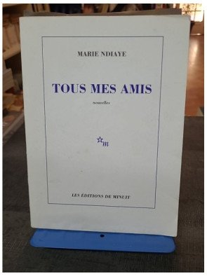 Tous mes amis par Marie Ndiaye