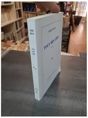 Tous mes amis par Marie Ndiaye