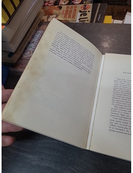 Le Jardin des Couscous : Recettes de la tradition juive tunisienne par Simon Nizard