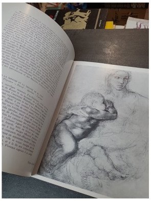 Toutes les oeuvres de Michel-Ange par Luciano Berti