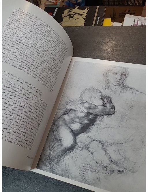 Toutes les oeuvres de Michel-Ange par Luciano Berti