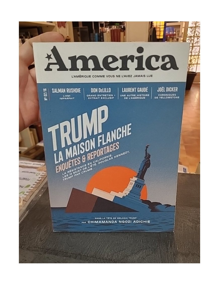 America n°15 : enquêtes et reportages sur la finance et l'économie aux États-Unis