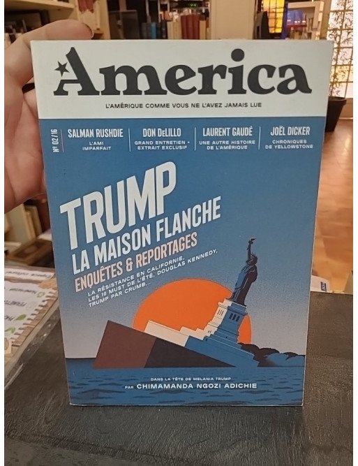 America n°15 : enquêtes et reportages sur la finance et l'économie aux États-Unis