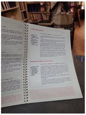 Les Carnets de Cuisine n°13 : Les hors-d'œuvre chauds et froids, par Myriam Cendrars