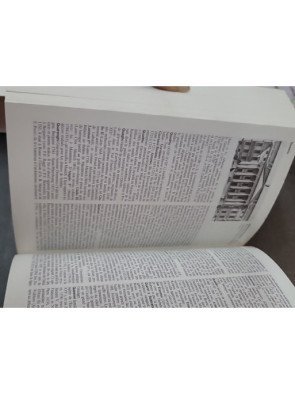 Encyclopédie de l'art par Lucio Felici