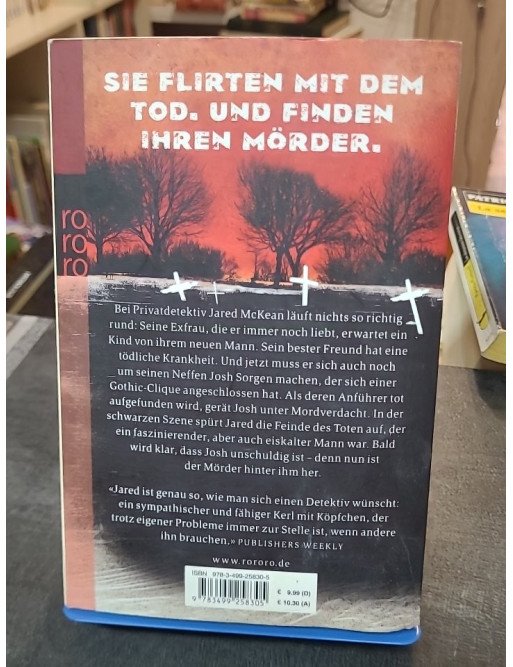 Mitternachtsseelen par Jaden E. Terrell
