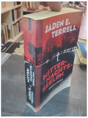 Mitternachtsseelen par Jaden E. Terrell