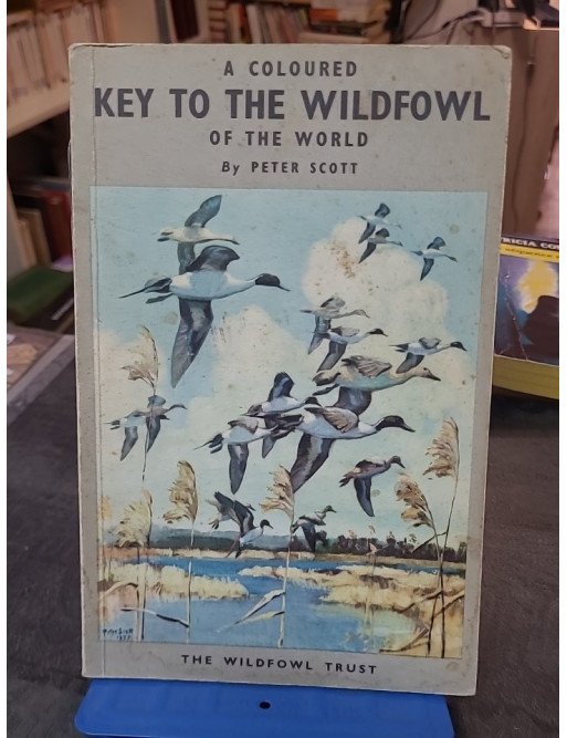 Coloured Key to the Wildfowl of the World - Sir Peter Scott