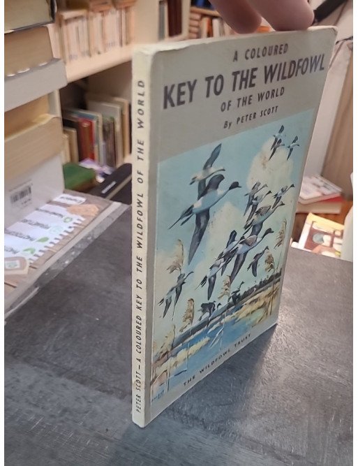 Coloured Key to the Wildfowl of the World - Sir Peter Scott