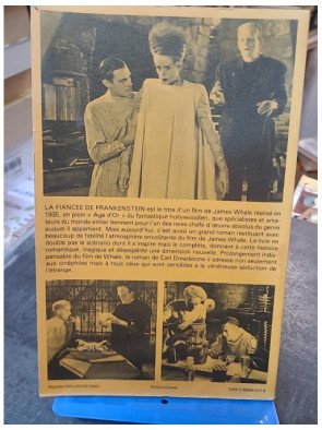 La Fiancee De Frankenstein par Carl Dreadstone