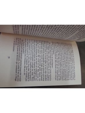 Le Chemin De Fontfroide de Yves Viollier