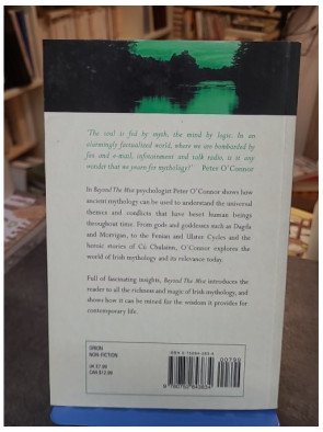 Beyond the Mist - What Irish Mythology Can Teach Us About Ourselves de Peter O'Connor