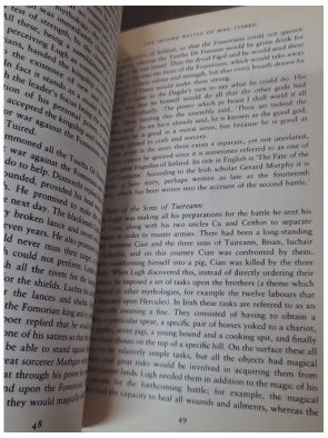Beyond the Mist - What Irish Mythology Can Teach Us About Ourselves de Peter O'Connor