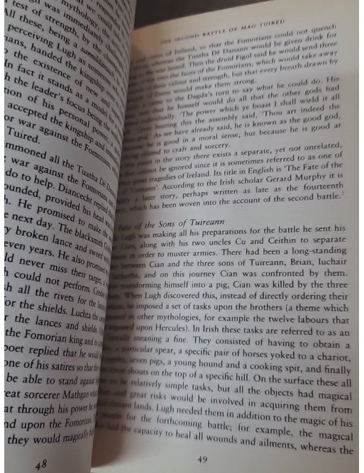Beyond the Mist - What Irish Mythology Can Teach Us About Ourselves de Peter O'Connor