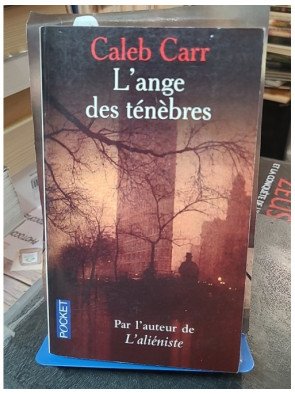 L'Ange des ténèbres - Roman de Caleb Carr