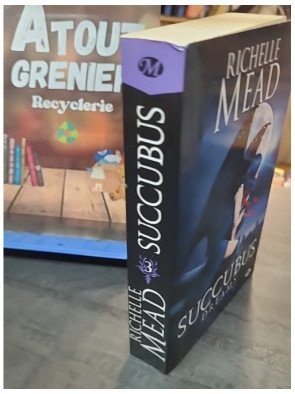 Succubus, Tome 3 : Succubus Dreams de Richelle Mead - Bit-Lit, Urban Fantasy