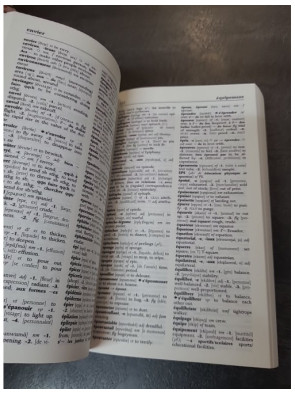 Larousse de poche français-anglais : un dictionnaire bilingue essentiel pour voyager et apprendre la langue