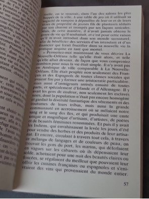 Entretien avec un vampire d Anne Rice