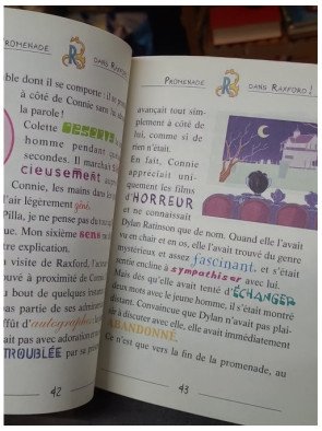 Deux stars au collège - Tome 11 par Téa Stilton