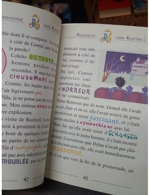 Deux stars au collège - Tome 11 par Téa Stilton
