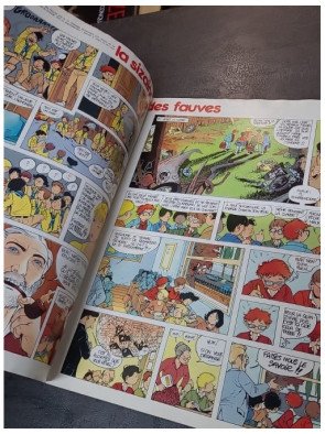 Louveteau n°24 : Sur les traces du Paris-Dakar, Janvier-Février 1986