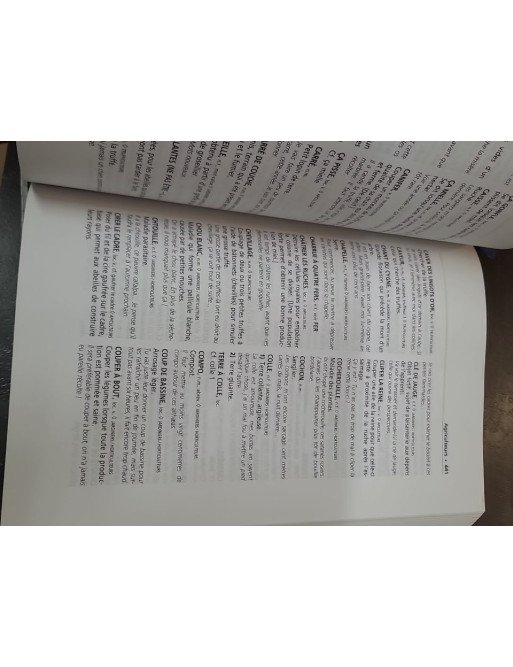 Le Parler Des Métiers - Dictionnaire Thématique Alphabétique par Pierre Perret