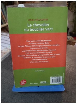 Le chevalier au bouclier vert : Roman d'aventure médiéval par Odile Weulersse